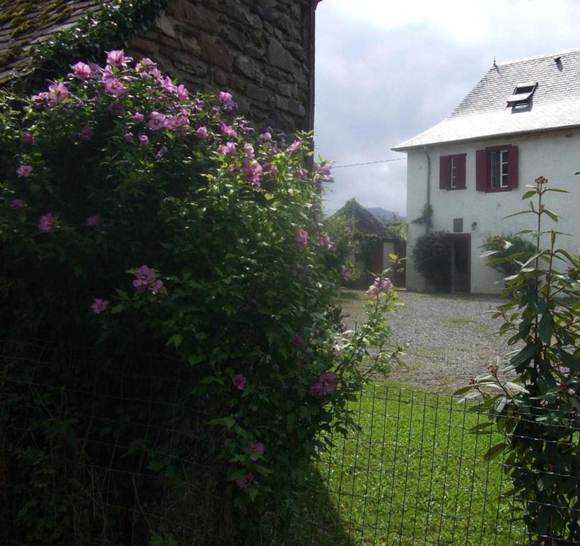 Chambres D'Hotes Maison Paillet Montory Dış mekan fotoğraf